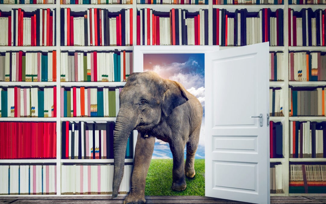 Migraine – The elephant in the room