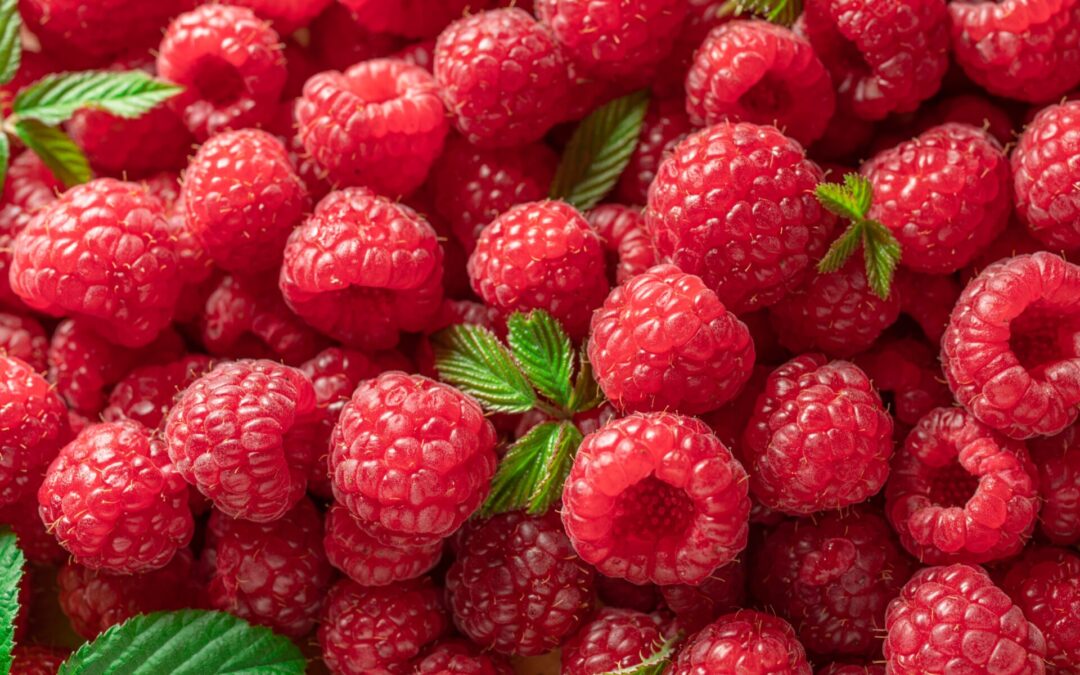 Why is fiber so important?